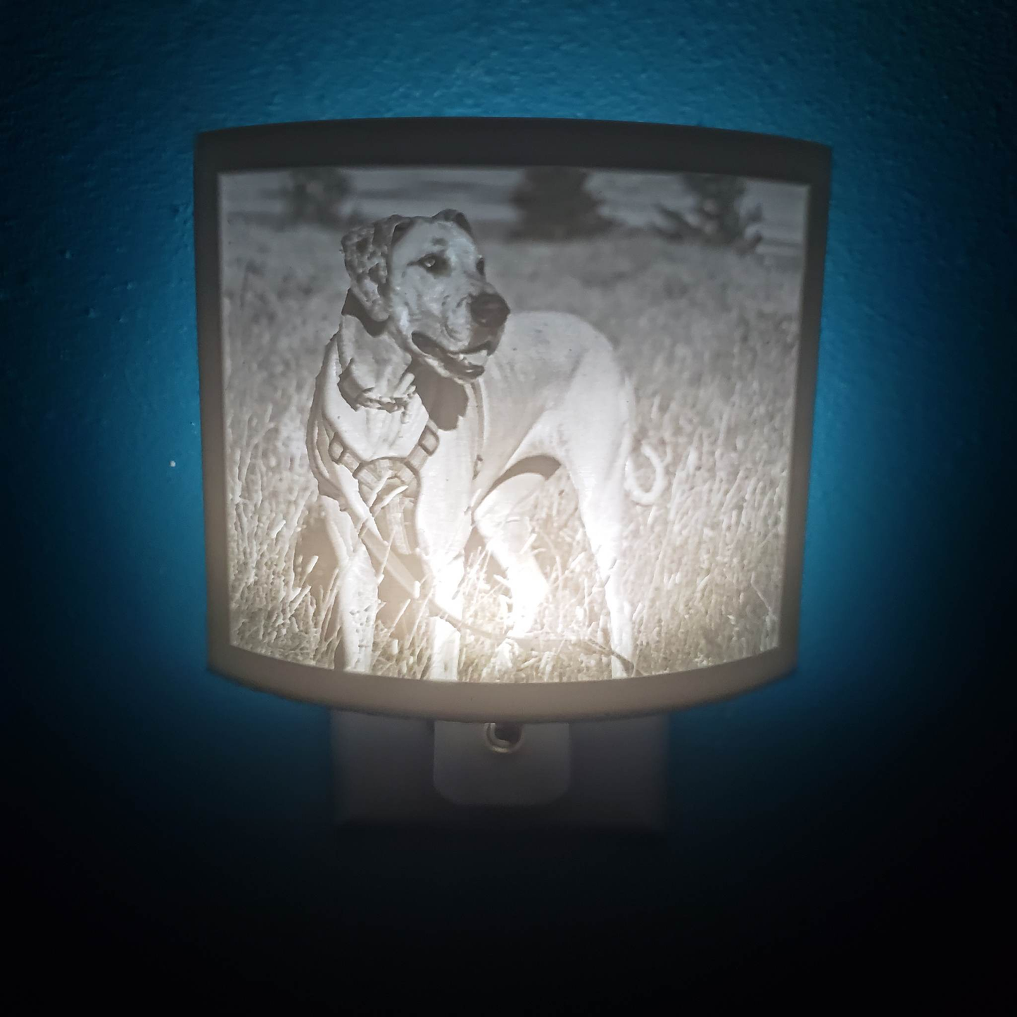 CUSTOM Night Light 3D printed Lithophane