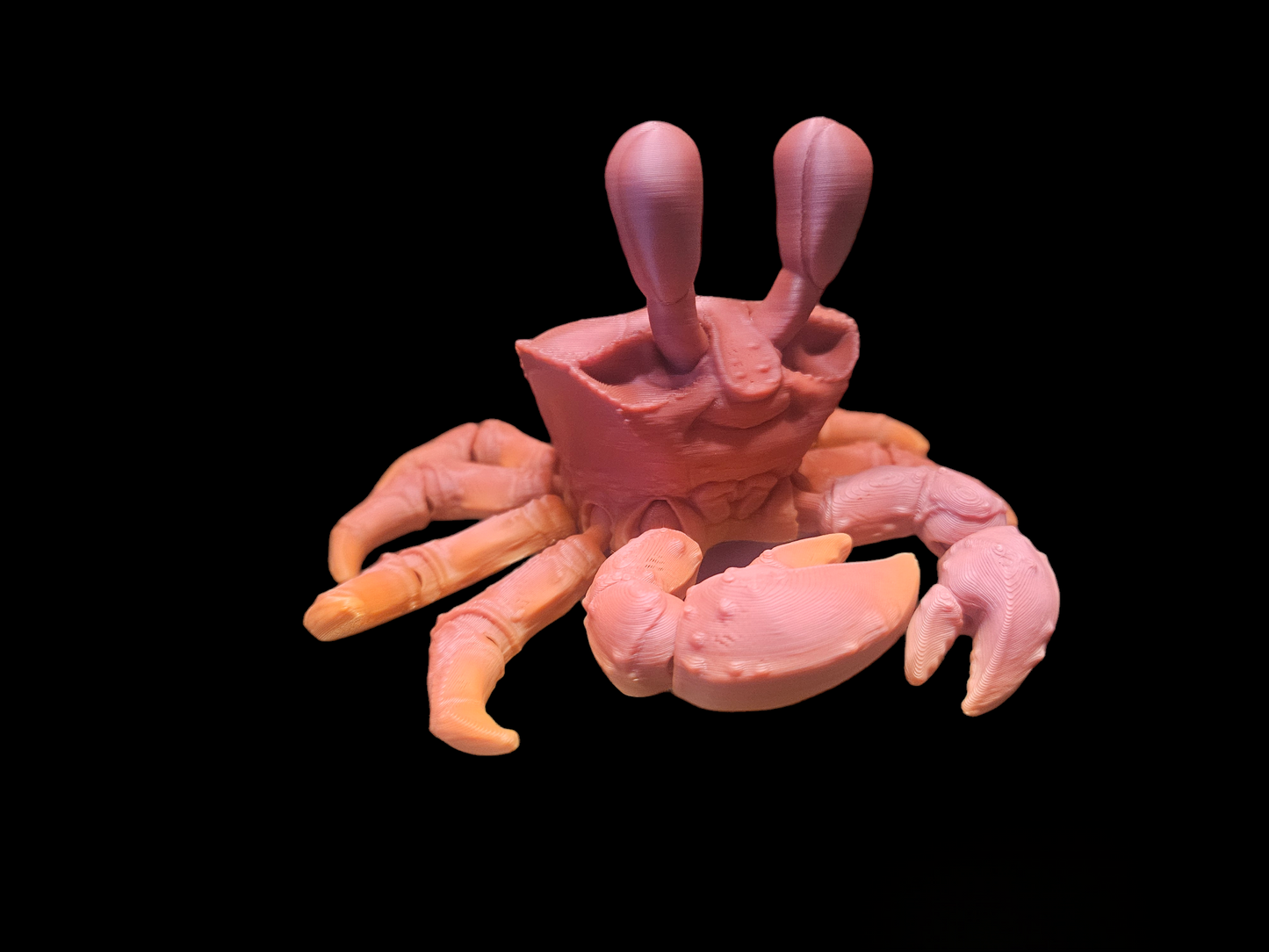 Ghost Crab