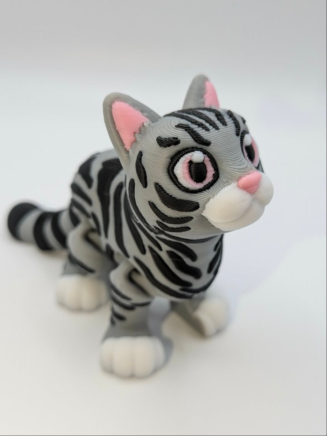 Tabby Cat