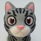Tabby Cat