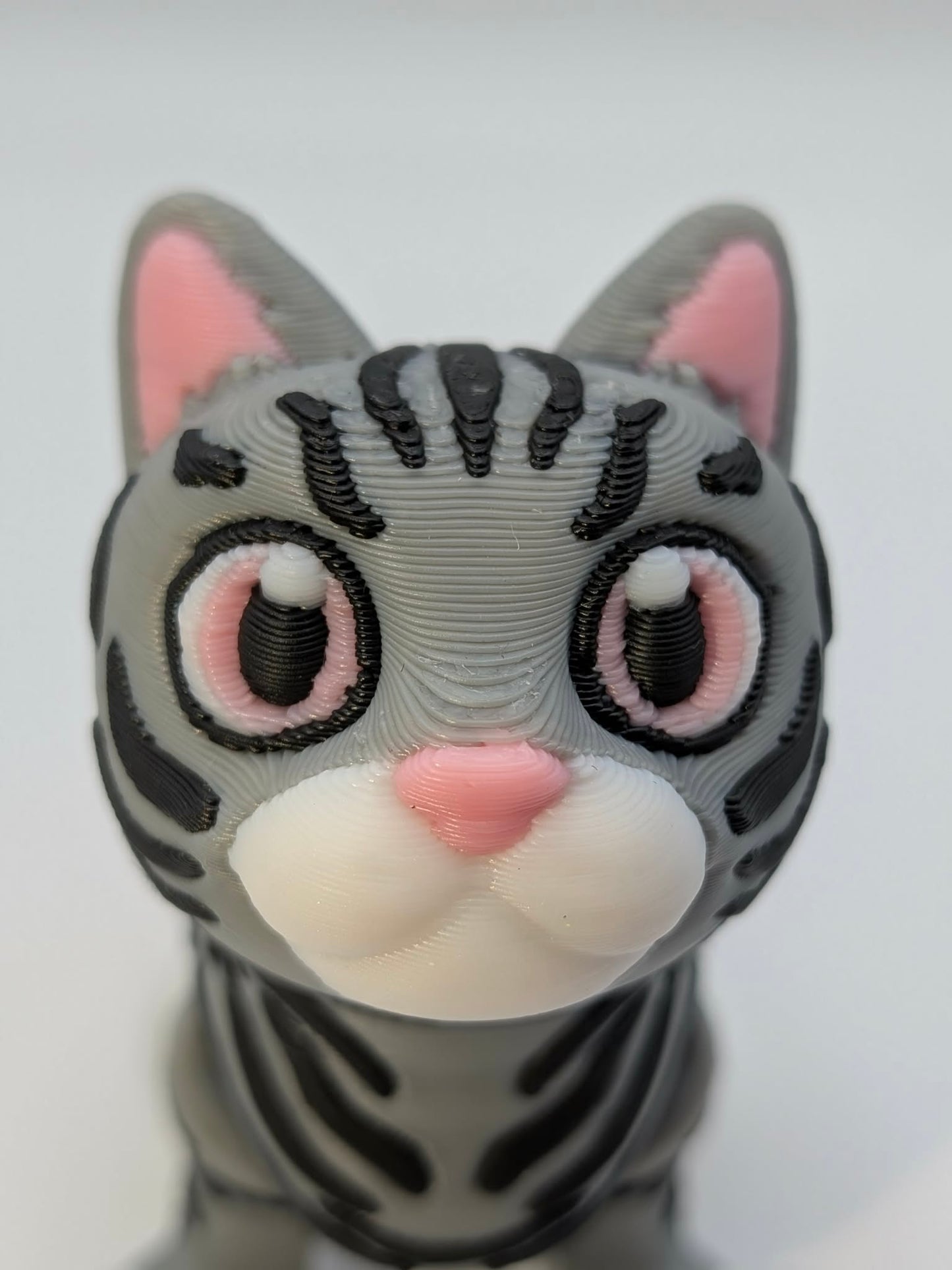 Tabby Cat