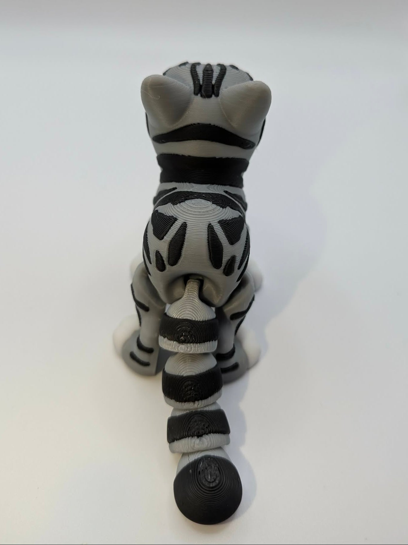 Tabby Cat