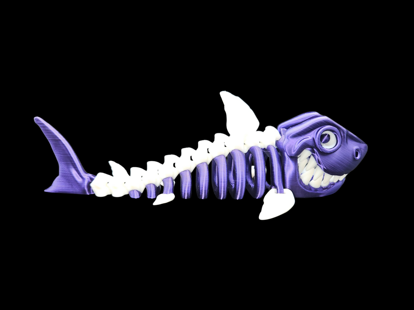 Skeleton Shark