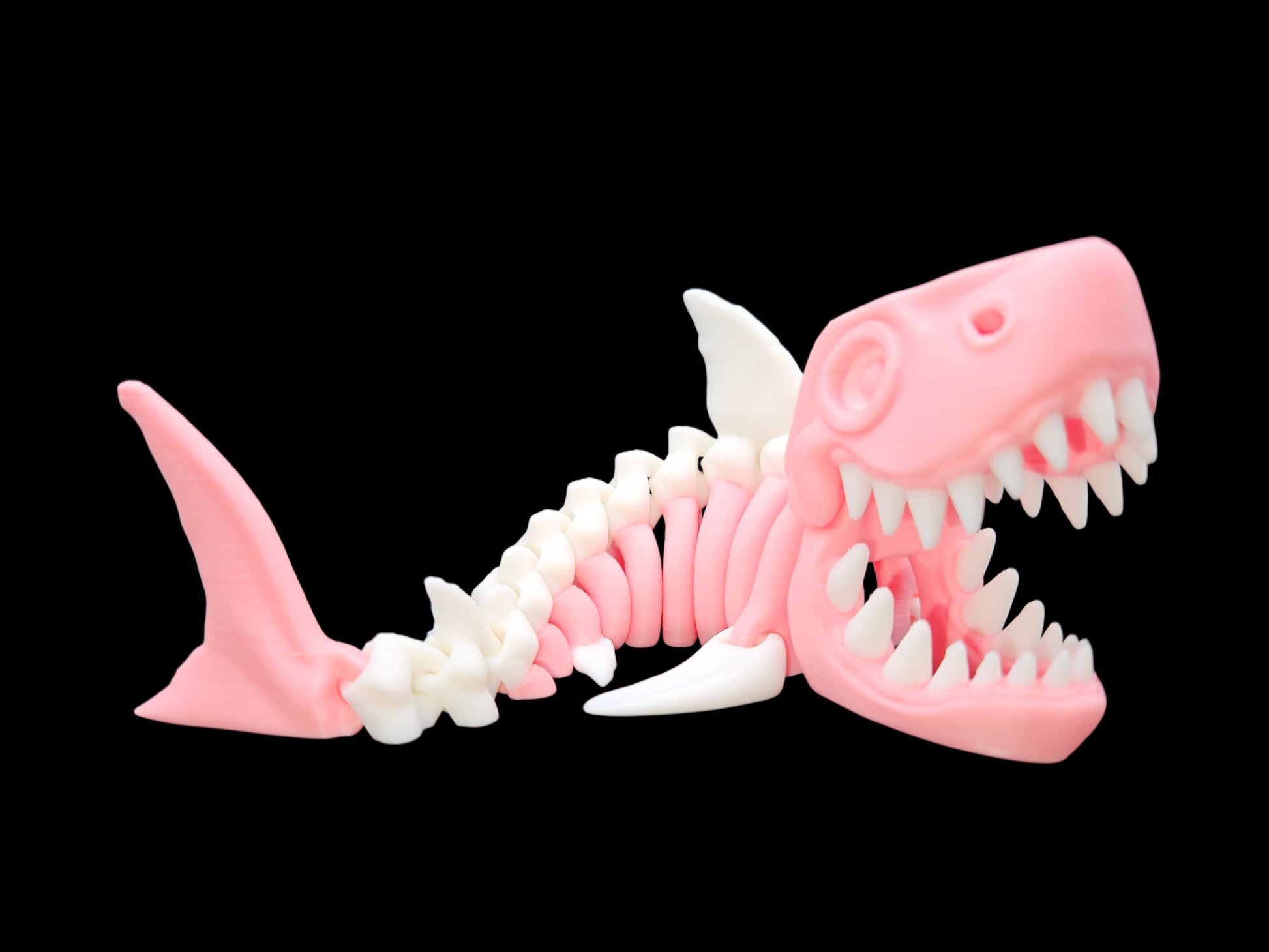 Skeleton Shark – Bacon Seed Project