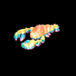 Lobster